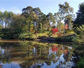 Bellbird Cottage - Accommodation Bookings 1