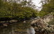 River Walking Track - thumb 0