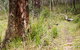 River Walking Track - thumb 1