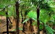 Pegarah Private Nature Reserve & Parenna Place - thumb 0