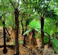 Pegarah Private Nature Reserve  Parenna Place - Accommodation Bookings