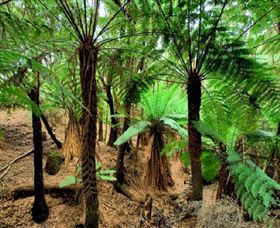 Pegarah Private Nature Reserve & Parenna Place - Accommodation Bookings 0