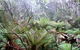 Pegarah Private Nature Reserve & Parenna Place - thumb 1