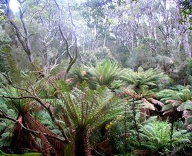 Pegarah Private Nature Reserve & Parenna Place - Accommodation Bookings 1