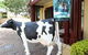 Hunter Valley Gardens Shopping Village - thumb 5