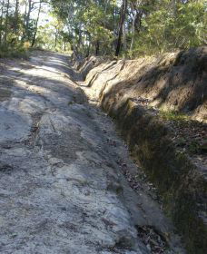 Convict Trail Project Bucketty Site - Accommodation Bookings 0
