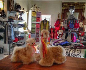 Australian Alpaca Barn - Hunter Valley Gardens - Accommodation Bookings 2