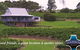 Ivanhoe Wines - thumb 0