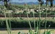 Vinden Estate Wines - thumb 1