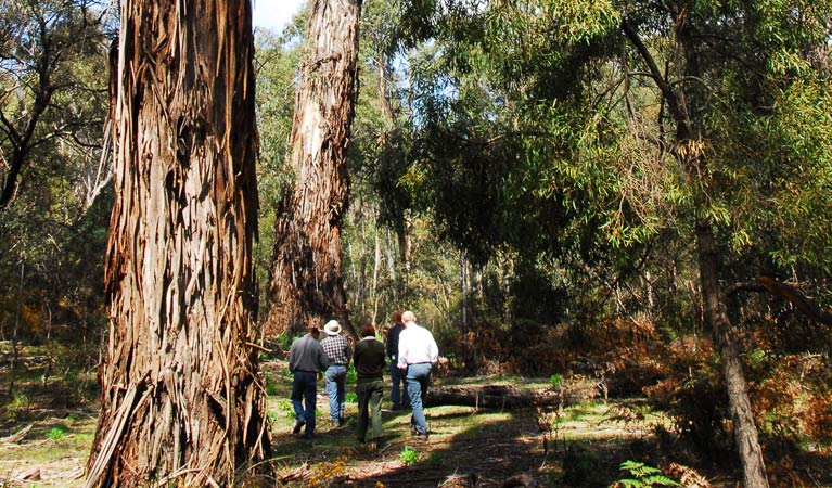 Palerang NSW Accommodation Bookings
