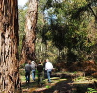 Tallaganda National Park - Accommodation Bookings