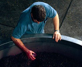 Calais Estate Wines - Accommodation Bookings 2