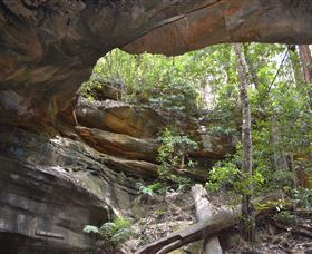 Cave Creek Walking Track - Accommodation Bookings 0