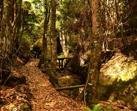 Cave Creek Walking Track - Accommodation Bookings 2