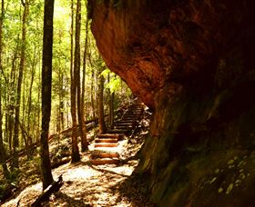 Cave Creek Walking Track - Accommodation Bookings 1