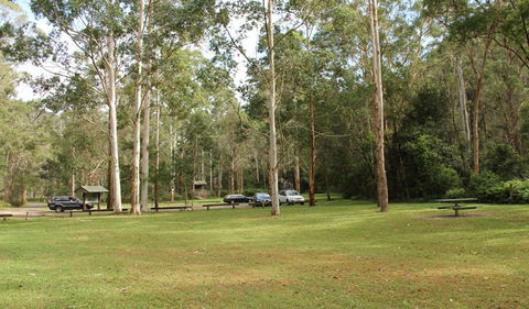 Mill Creek Picnic Area - Accommodation Bookings 0