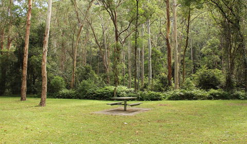 Mill Creek Picnic Area - Accommodation Bookings 1