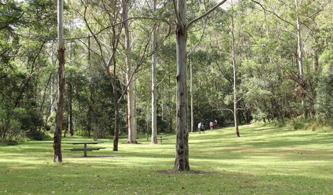 Mill Creek Picnic Area - Accommodation Bookings 3