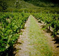Gartelmann Wines - Accommodation Bookings