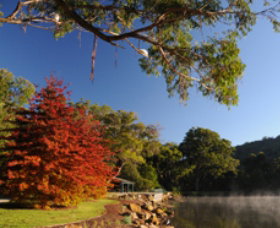 Lake Alexandra Reserve - Accommodation Bookings 1