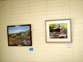 Maryborough Art Society Inc. - Accommodation Bookings 2