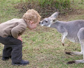 Hunter Valley Zoo - Accommodation Bookings 3