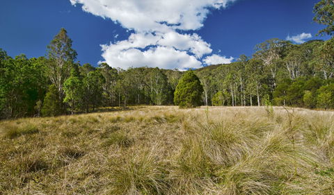 Brush Turkey Track - Accommodation Bookings 1