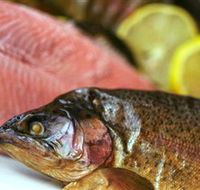 Lovedale Smokehouse Gourmet Pantry Cafe and Masterclasses - Accommodation Bookings