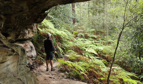 Dharug National Park - Accommodation Bookings 0