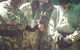 Ultimate Paintball - thumb 2