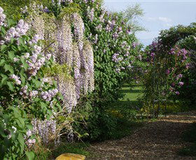 Back O The Moon - Accommodation Bookings 3