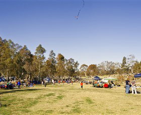 Lizard Log - Accommodation Bookings 1