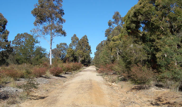 Elrington NSW Accommodation Bookings