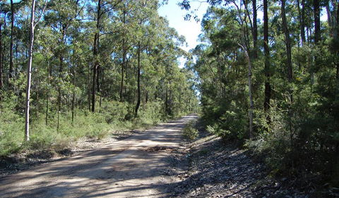 Werakata National Park - Accommodation Bookings 2