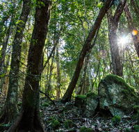 Copeland Tops State Conservation Area - Accommodation Bookings