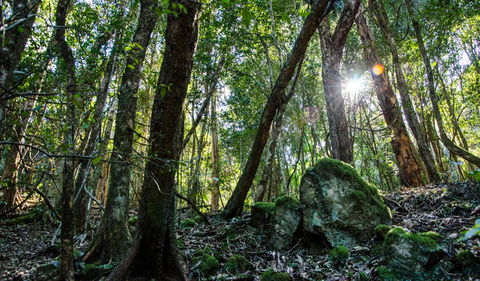 Copeland Tops State Conservation Area - Accommodation Bookings 0