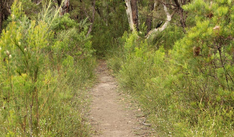 South Coast NSW Accommodation Bookings