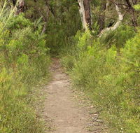 Three Views walking track - Accommodation Bookings
