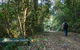 Basin Loop Track - thumb 0