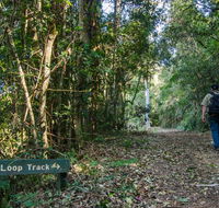 Basin Loop track - Accommodation Bookings