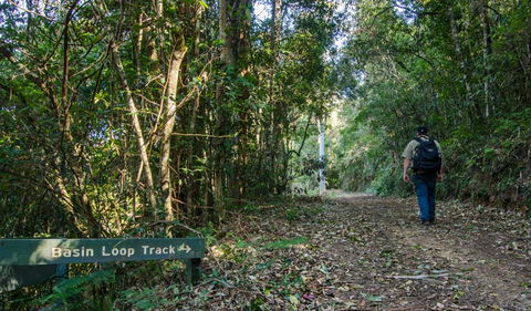 Basin Loop Track - Accommodation Bookings 0