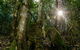 Basin Loop Track - thumb 1