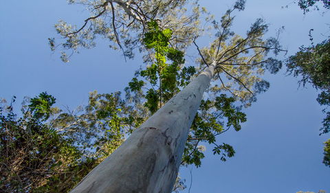 Basin Loop Track - Accommodation Bookings 2