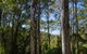 Basin Loop Track - thumb 3