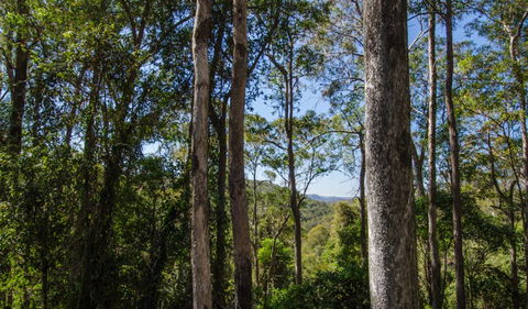 Basin Loop Track - Accommodation Bookings 3