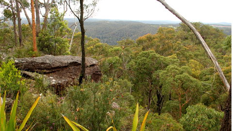 Mount Olive Lookout - Accommodation Bookings 2
