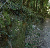 Hidden Treasure track - Accommodation Bookings