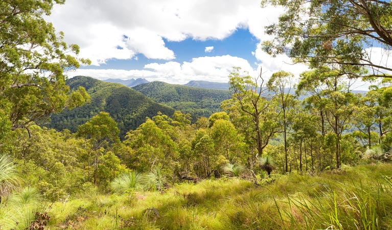 Upper Eden Creek NSW Accommodation Bookings