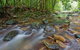 Toonumbar National Park - thumb 1