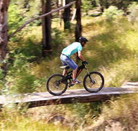The Steps Mountain Bike Park - Accommodation Bookings